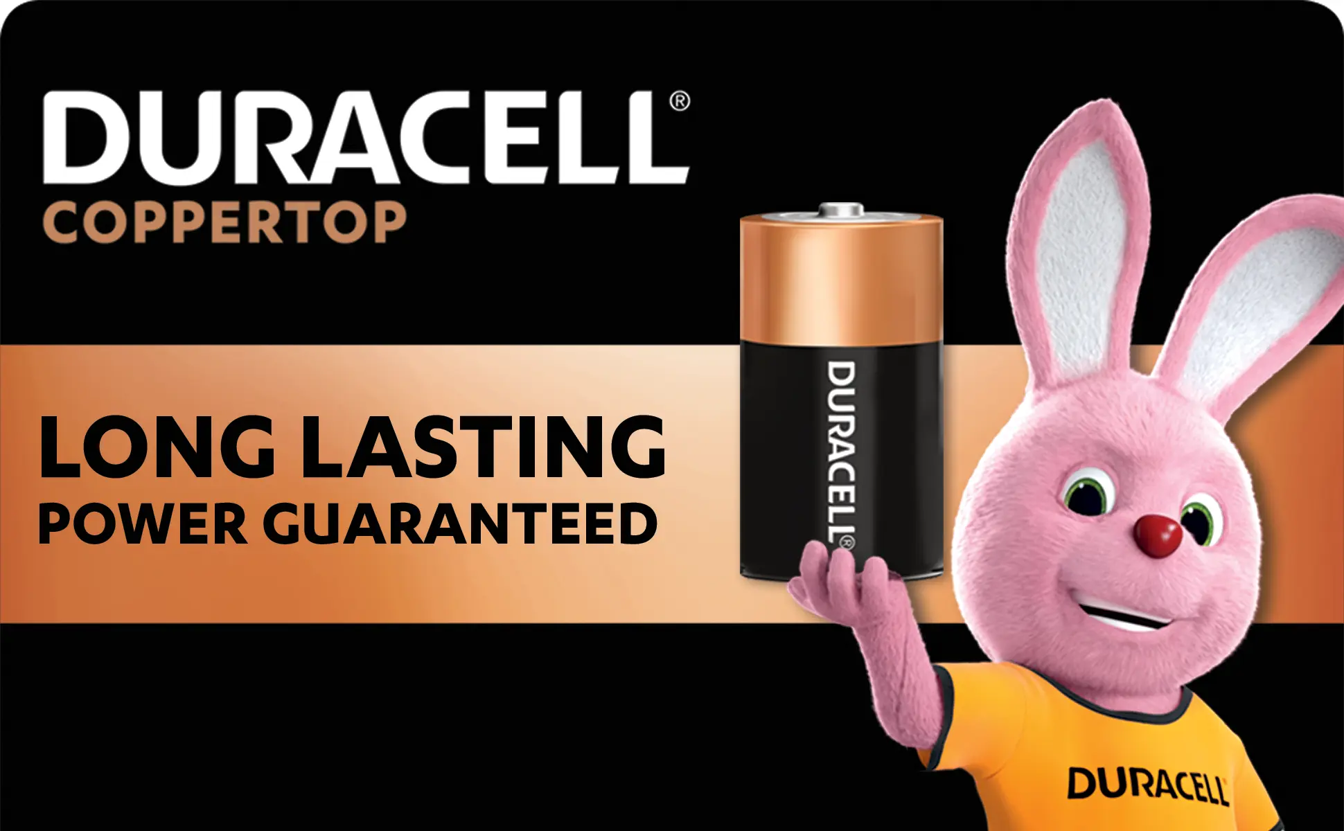 Duracell Batteries Type D 2 Pcs - view 4